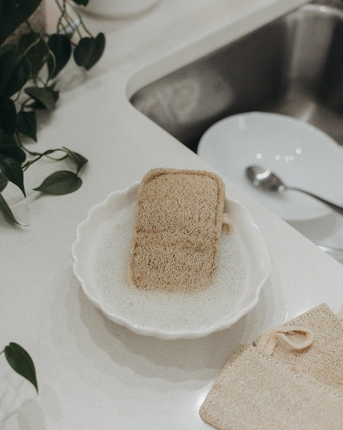 3-pack-natural-loofah-sponge-bath-sponges-loofahs-zero-waste-mvmt-397020 - PreLoved & Luxe