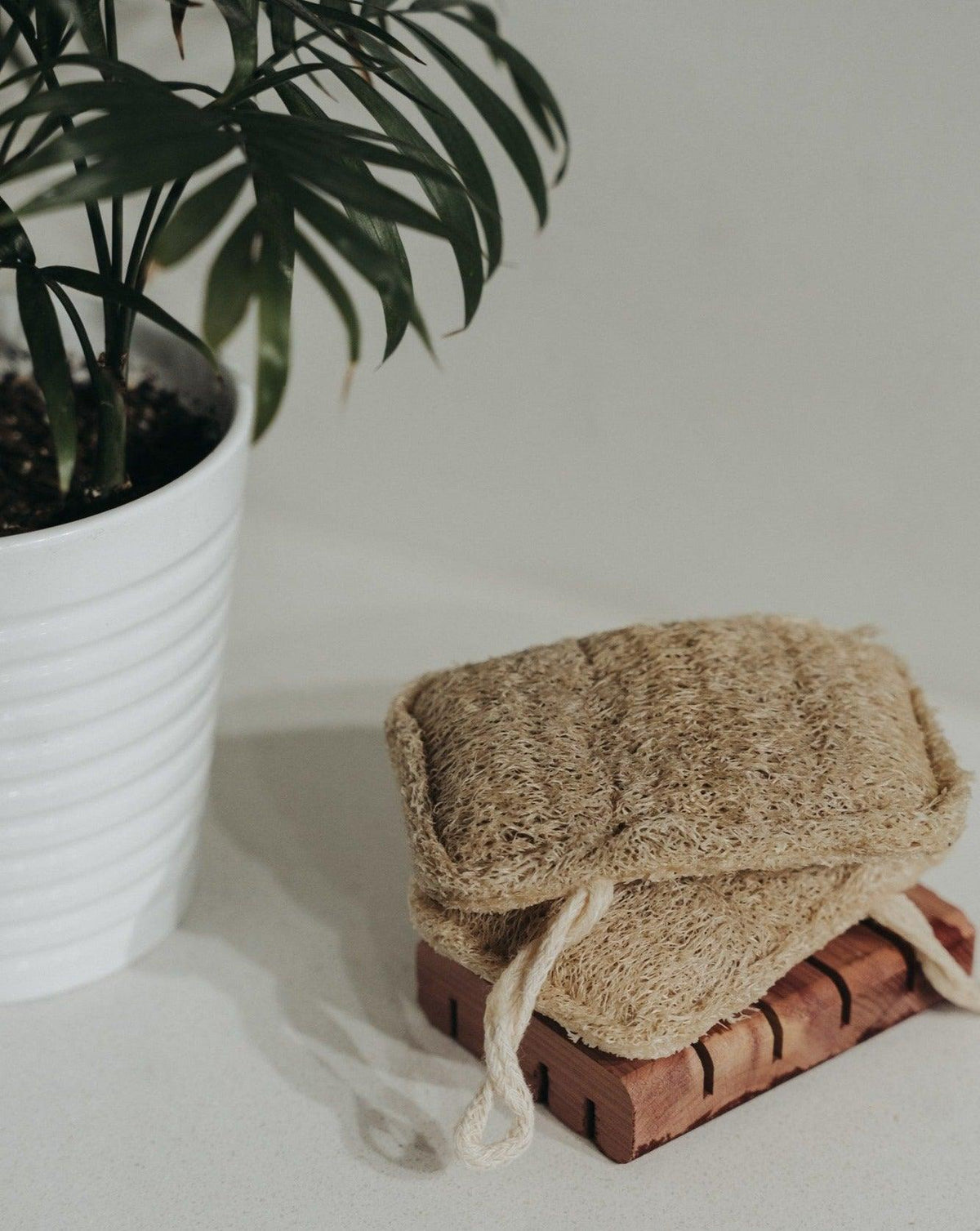 3-pack-natural-loofah-sponge-bath-sponges-loofahs-zero-waste-mvmt-625505 - PreLoved & Luxe