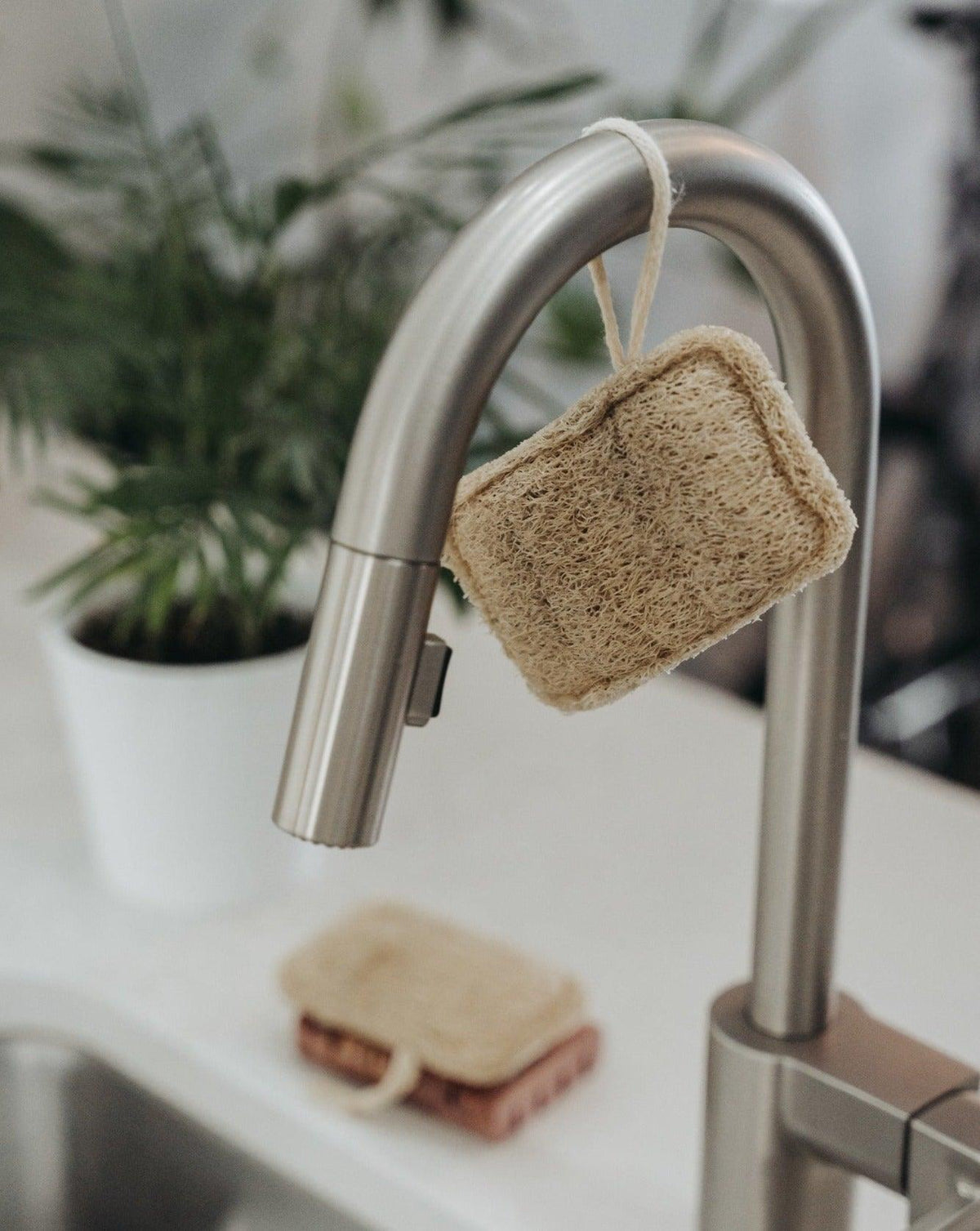 3-pack-natural-loofah-sponge-bath-sponges-loofahs-zero-waste-mvmt-856960 - PreLoved & Luxe