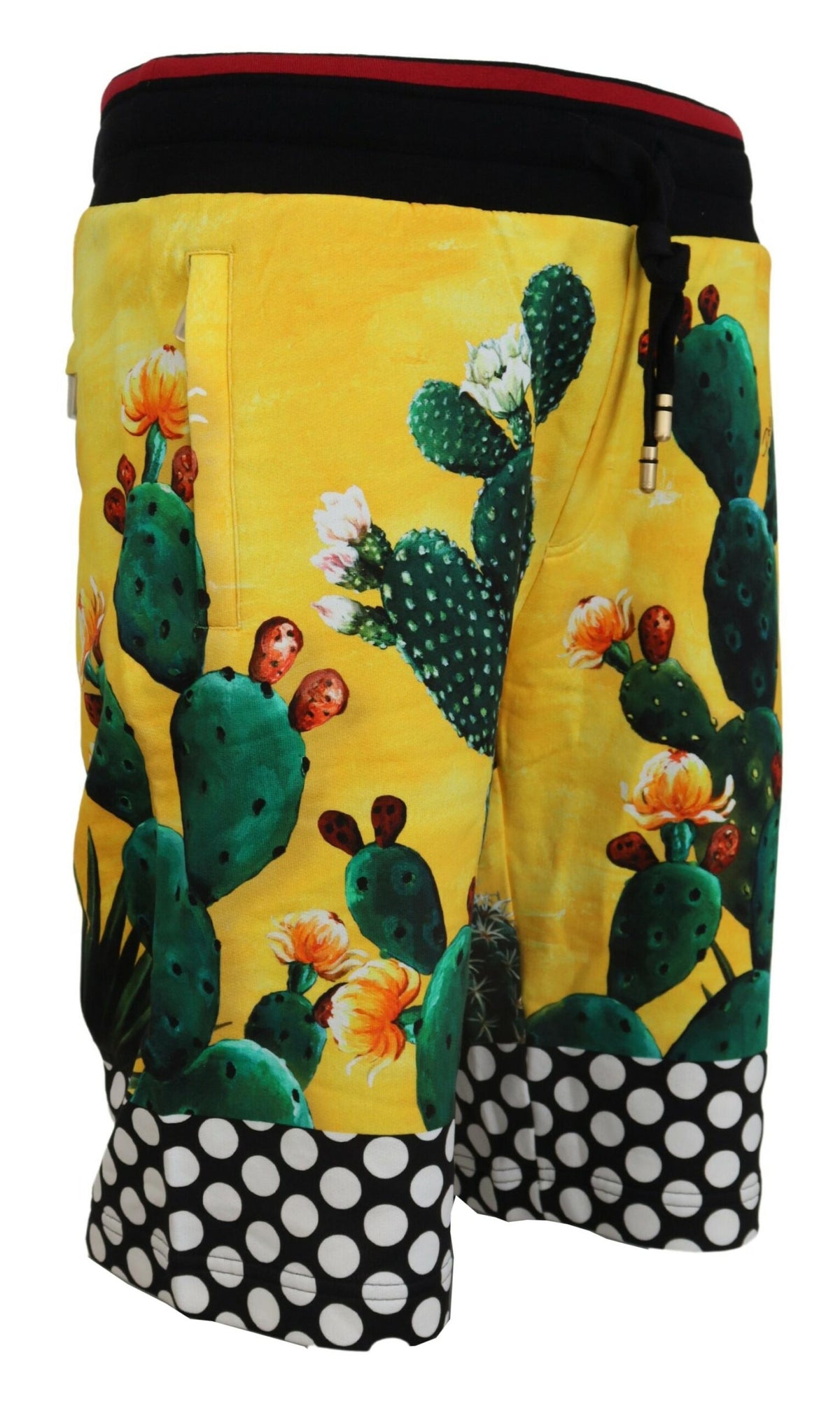 New Dolce & Gabbana Cactus Print Cotton Sweat Shorts