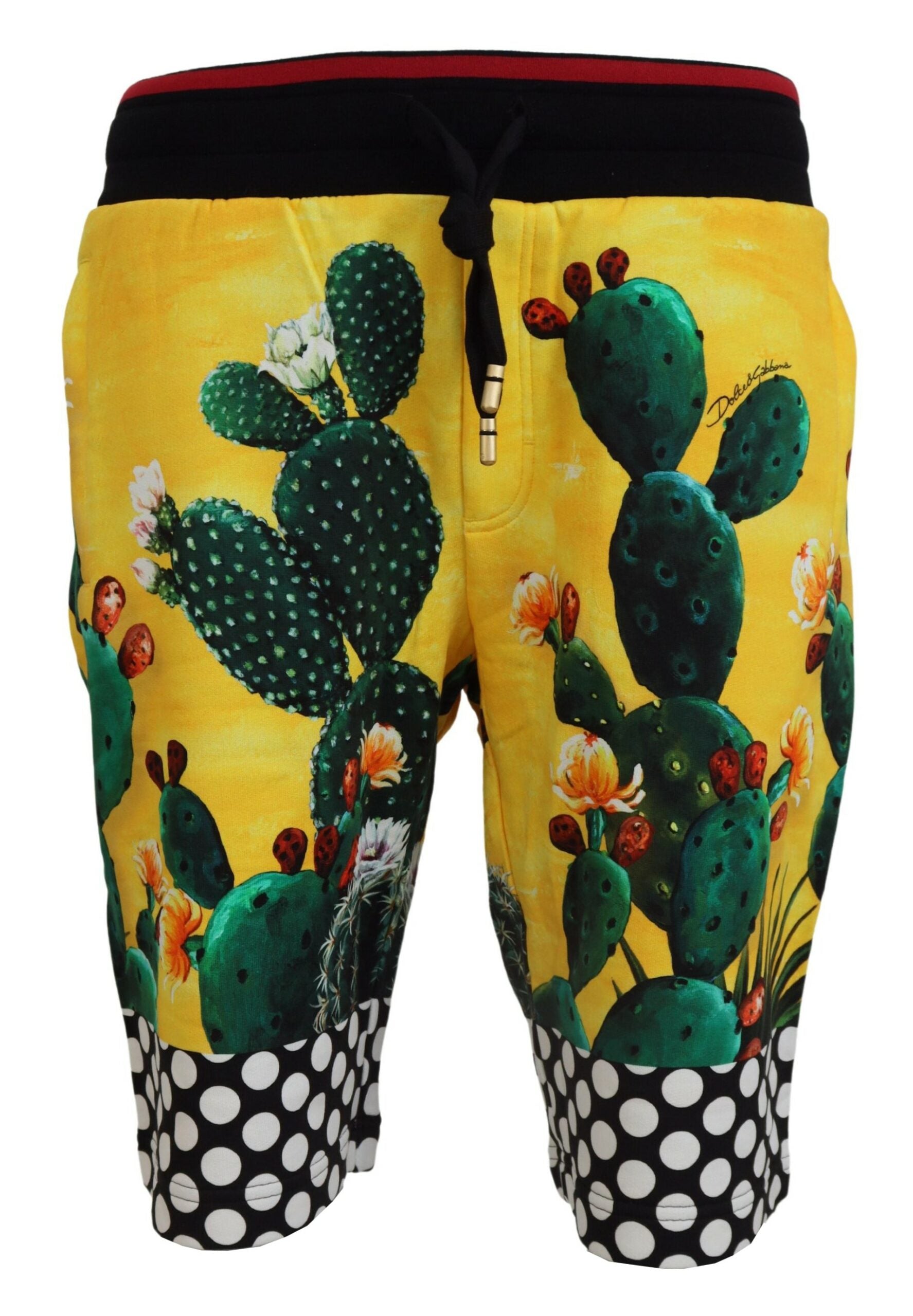 New Dolce & Gabbana Cactus Print Cotton Sweat Shorts
