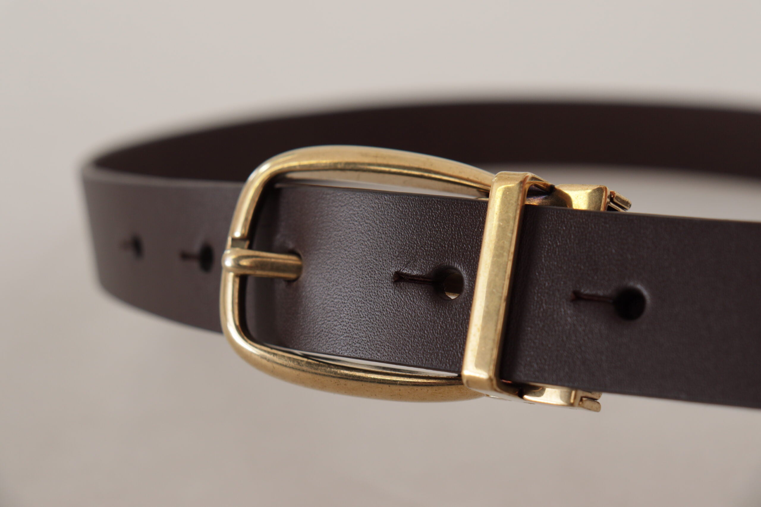 New Dolce & Gabbana Dark Brown Gold Tone Metal Buckle