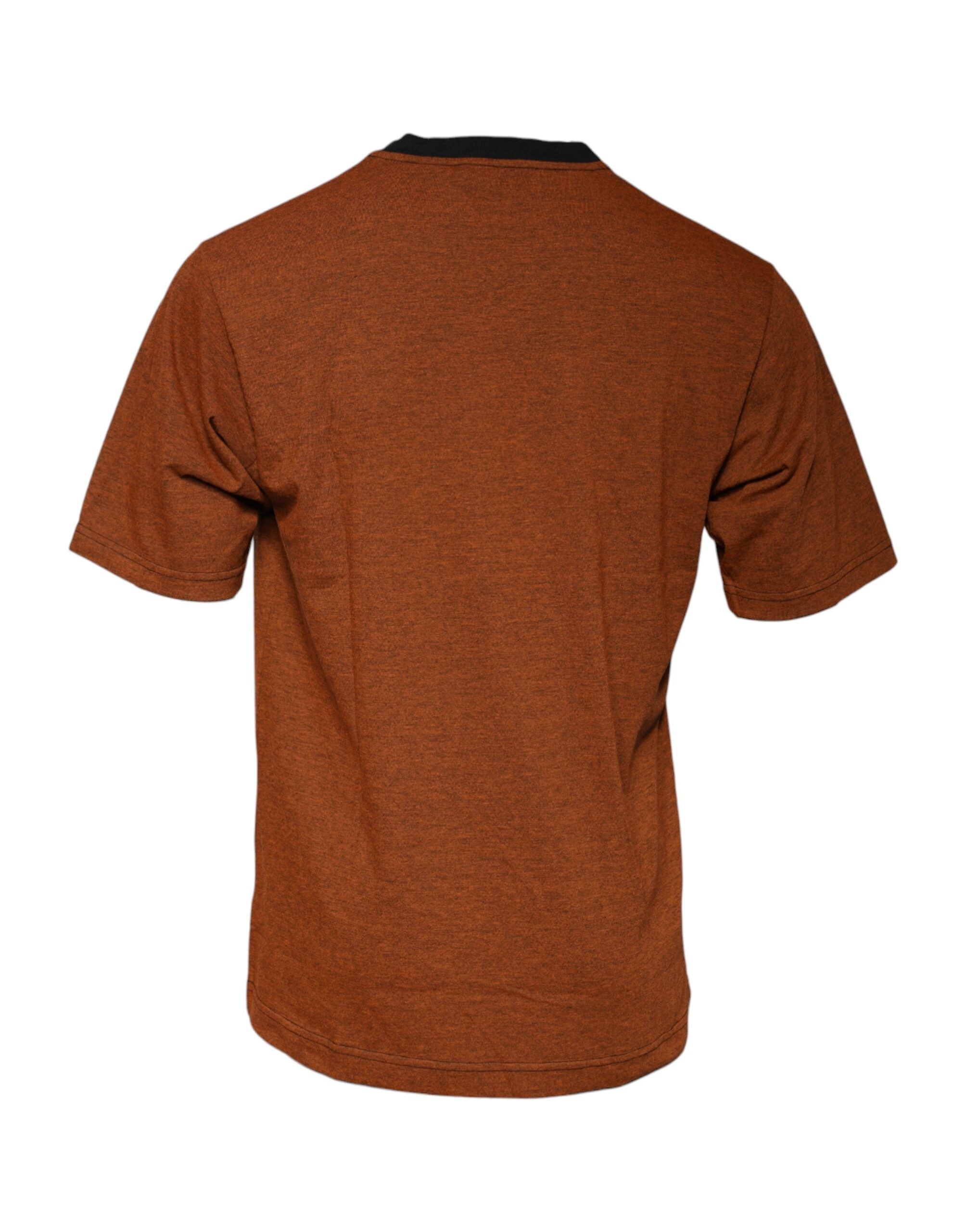 New Dolce & Gabbana Brown DG Logo Crew Neck T-shirt