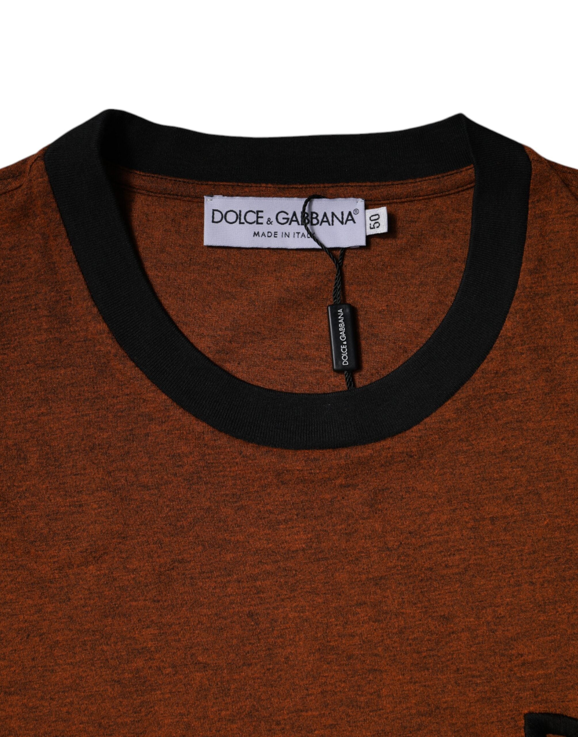 New Dolce & Gabbana Brown DG Logo Crew Neck T-shirt