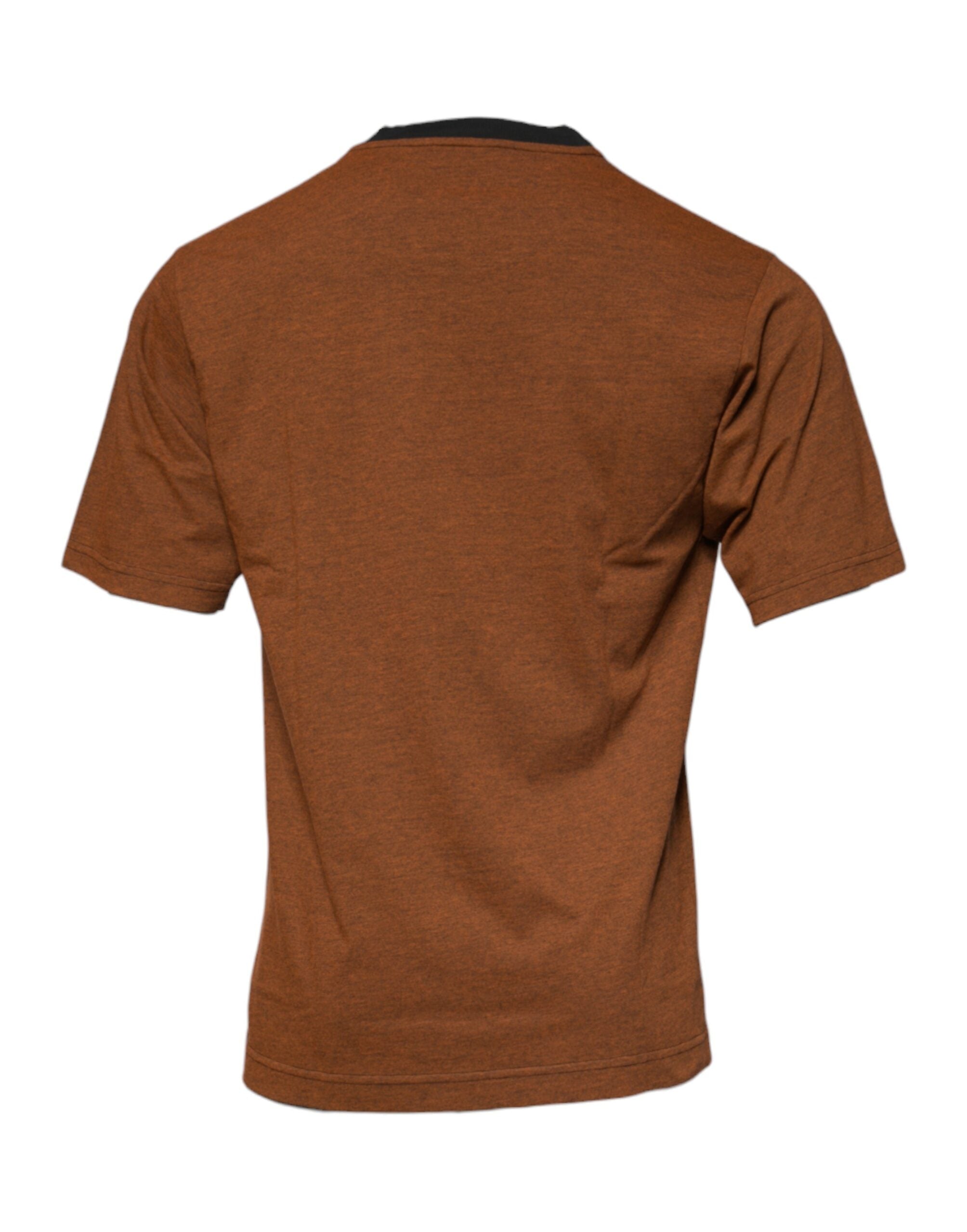 New Dolce & Gabbana Brown DG Logo Crew Neck T-shirt