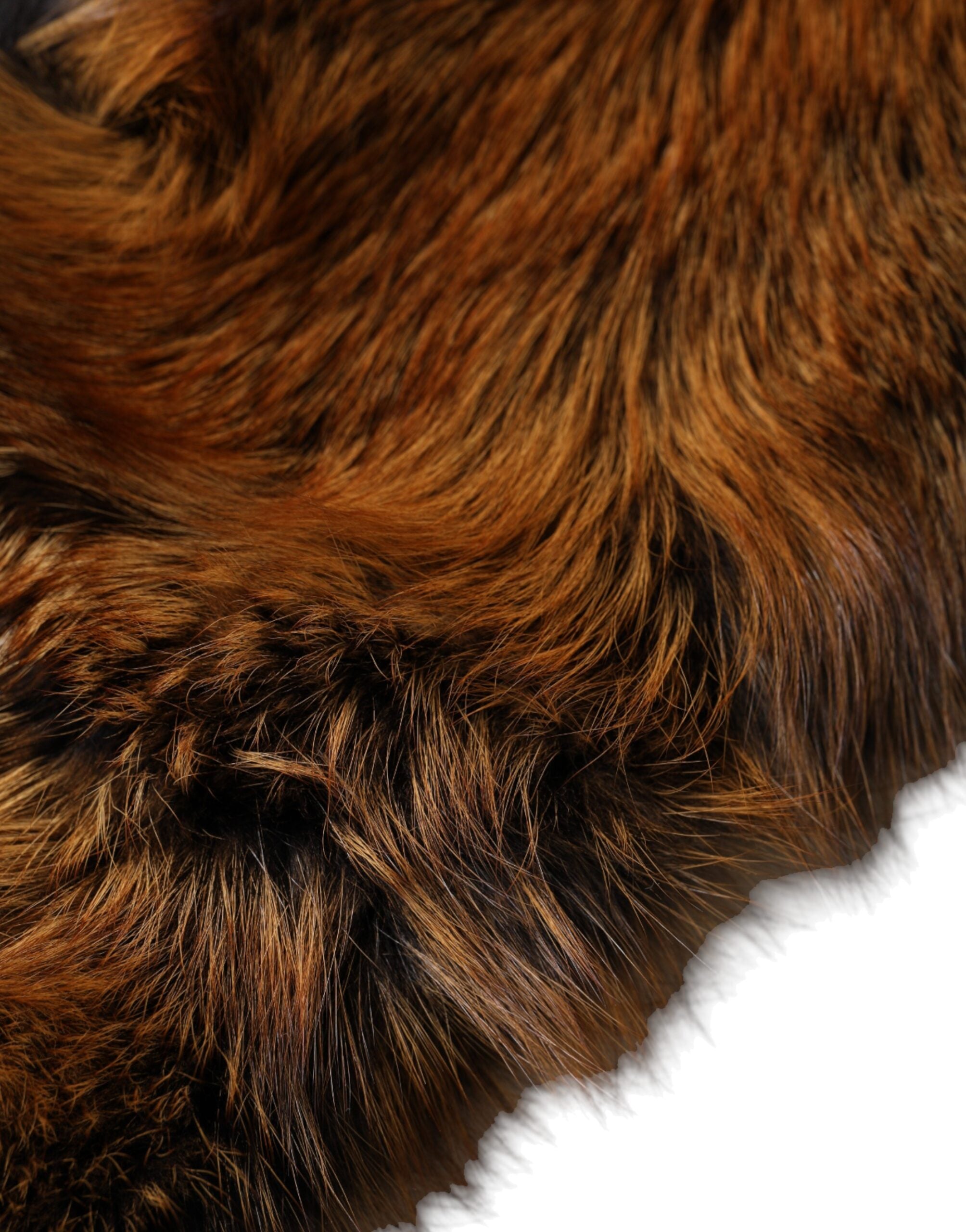 New Dolce & Gabbana Brown Red Fox Fur Neck Warmer Winter Scarf