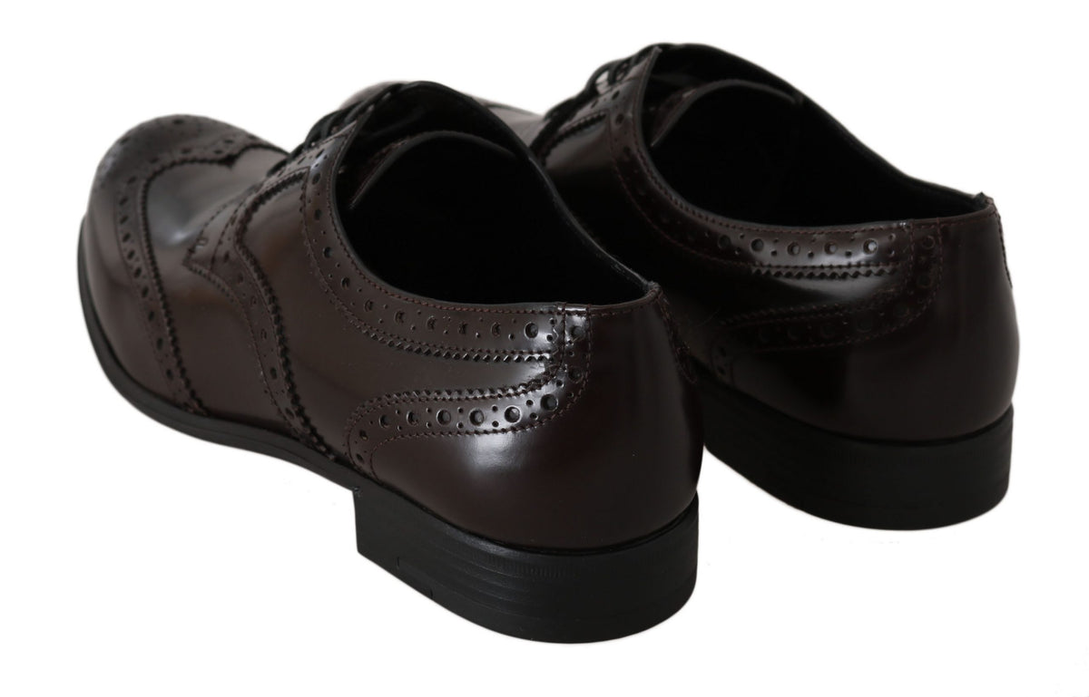 New Dolce & Gabbana Brown Leather Broques Oxford Wingtip Shoes