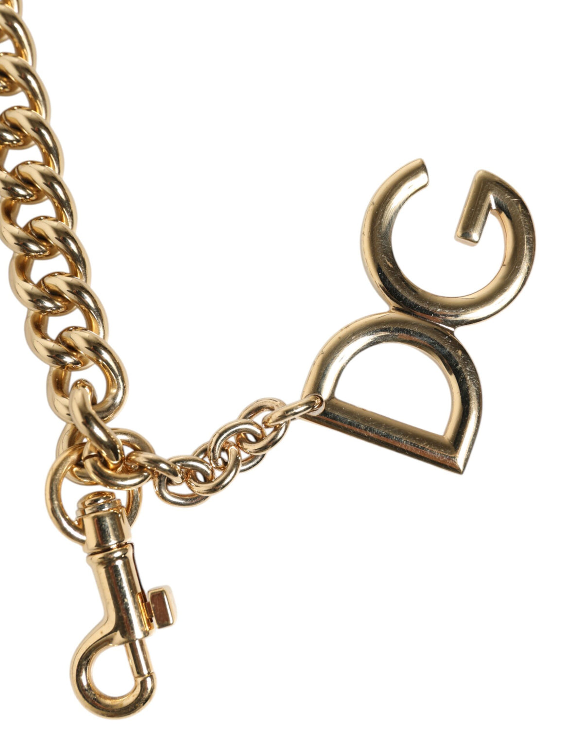Dolce & Gabbana Brown Leopard Gold Brass Chain Accessory Shoulder Strap, new with tags – image 2 of 5