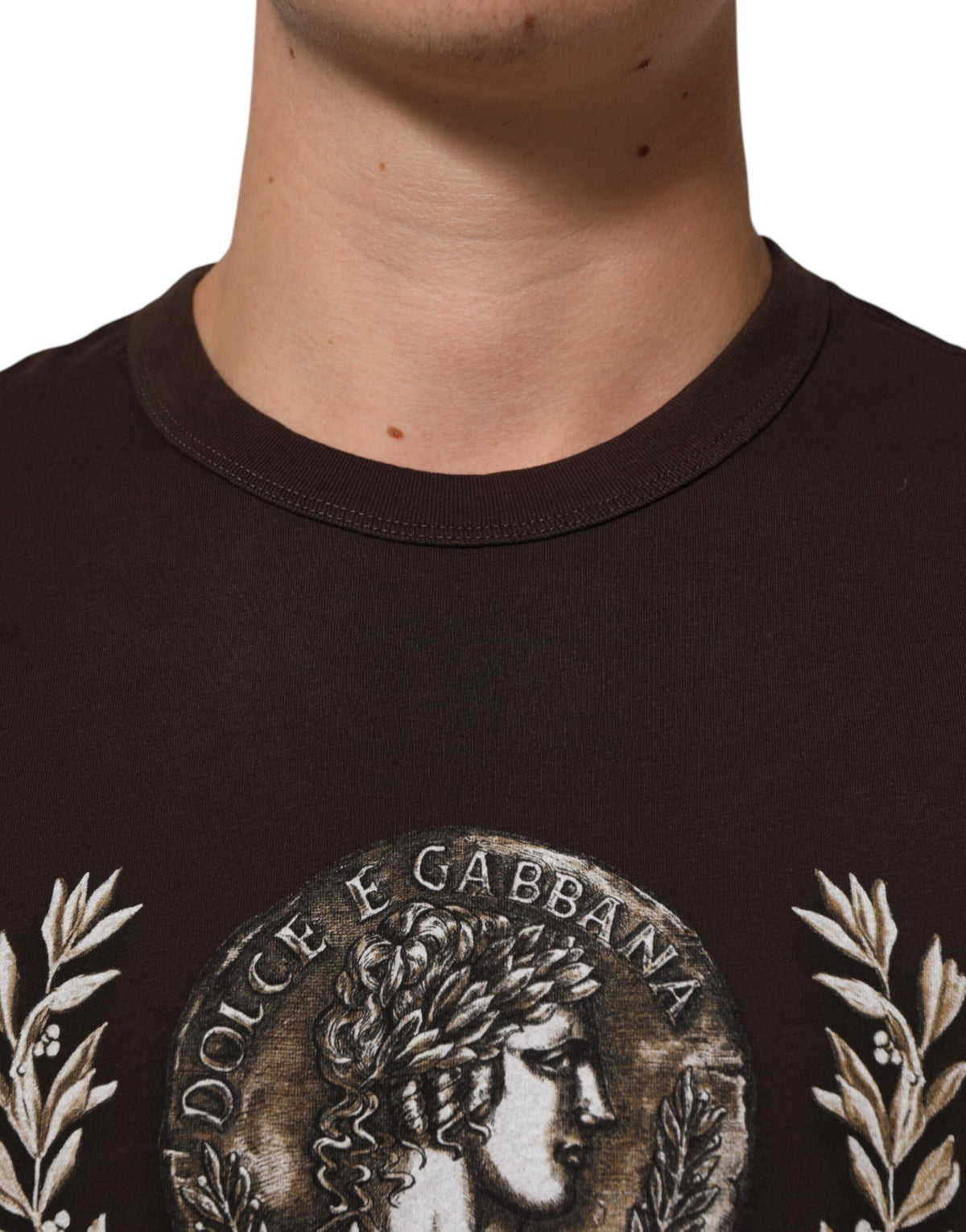 Pre-Owned Dolce & Gabbana Brown Coin Laurel Print Men Crew Neck T-shirt - Very Good