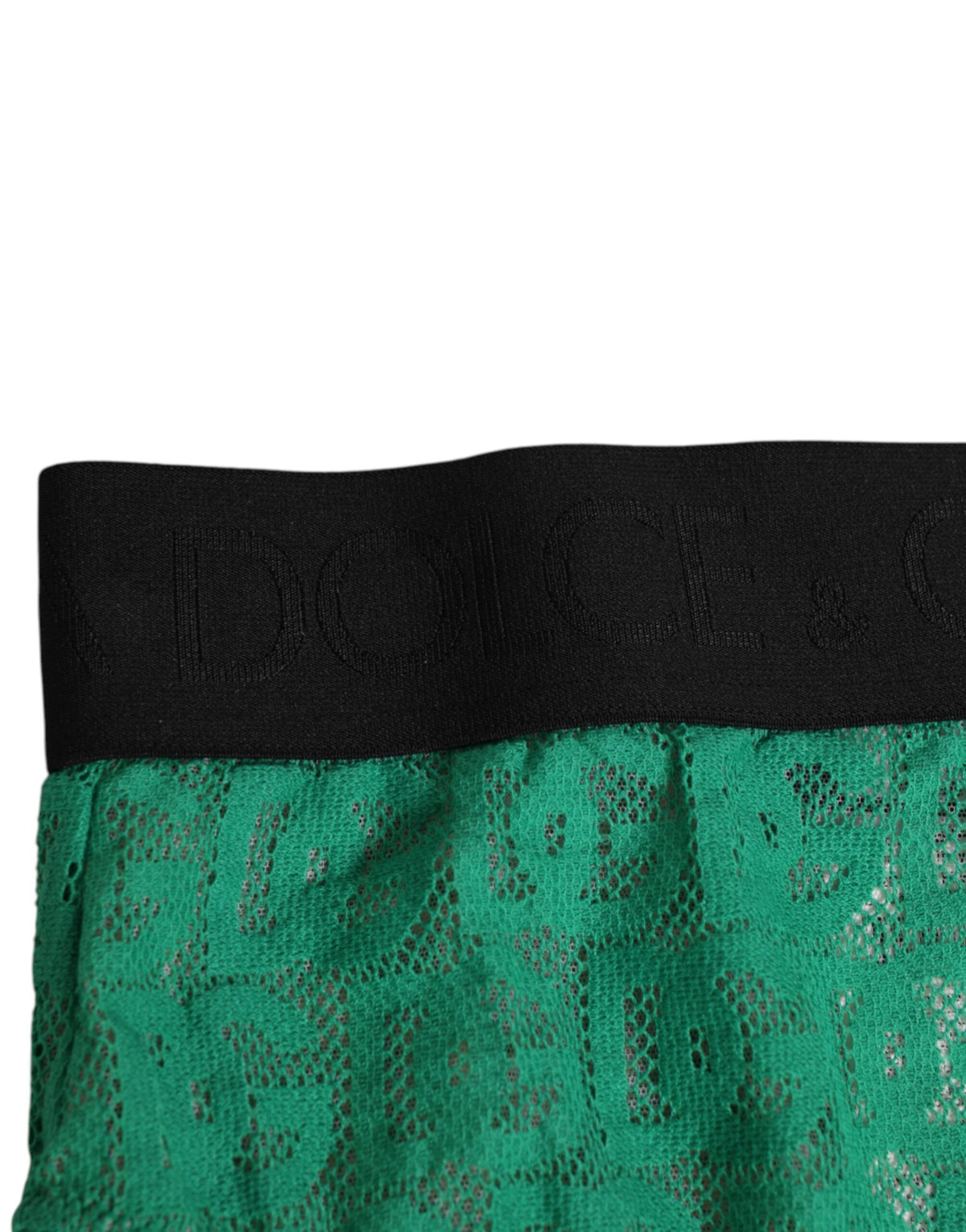 New Dolce & Gabbana Green DG Logo Lace High Brief Panty Underwear
