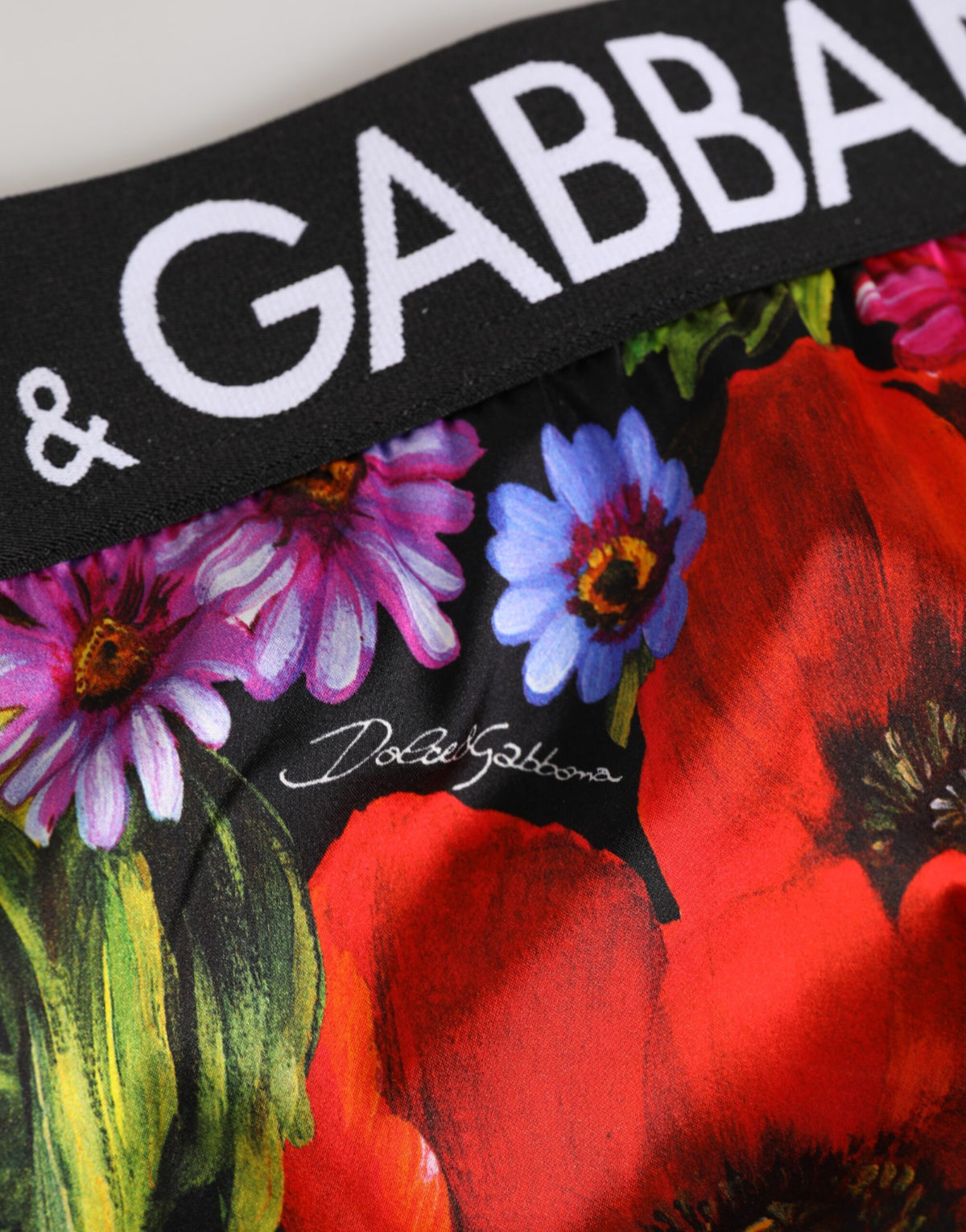 New Dolce & Gabbana Multicolor Floral Print High Waist Panty Underwear