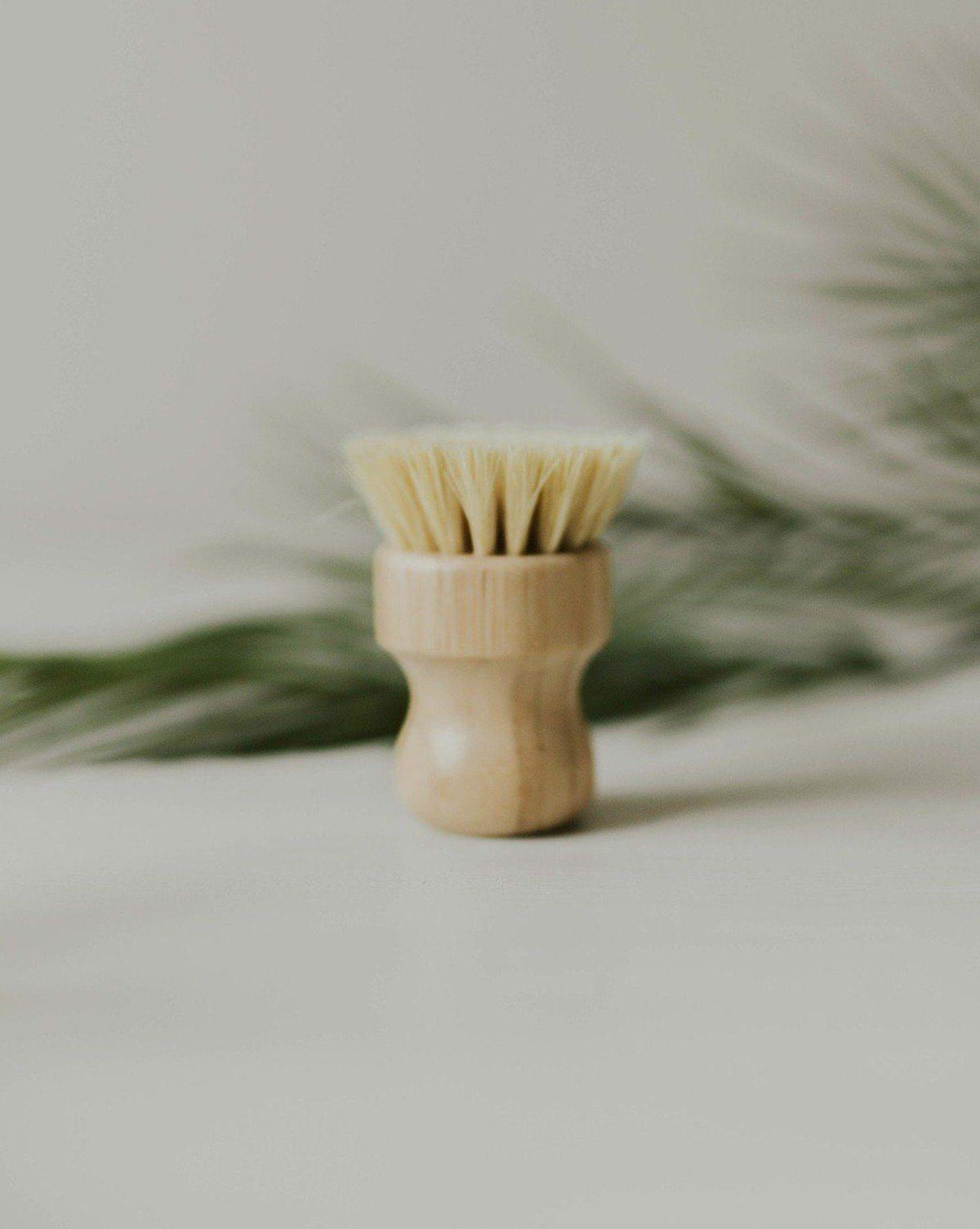 bamboo-pot-brush-zero-waste-mvmt-528228 - PreLoved & Luxe