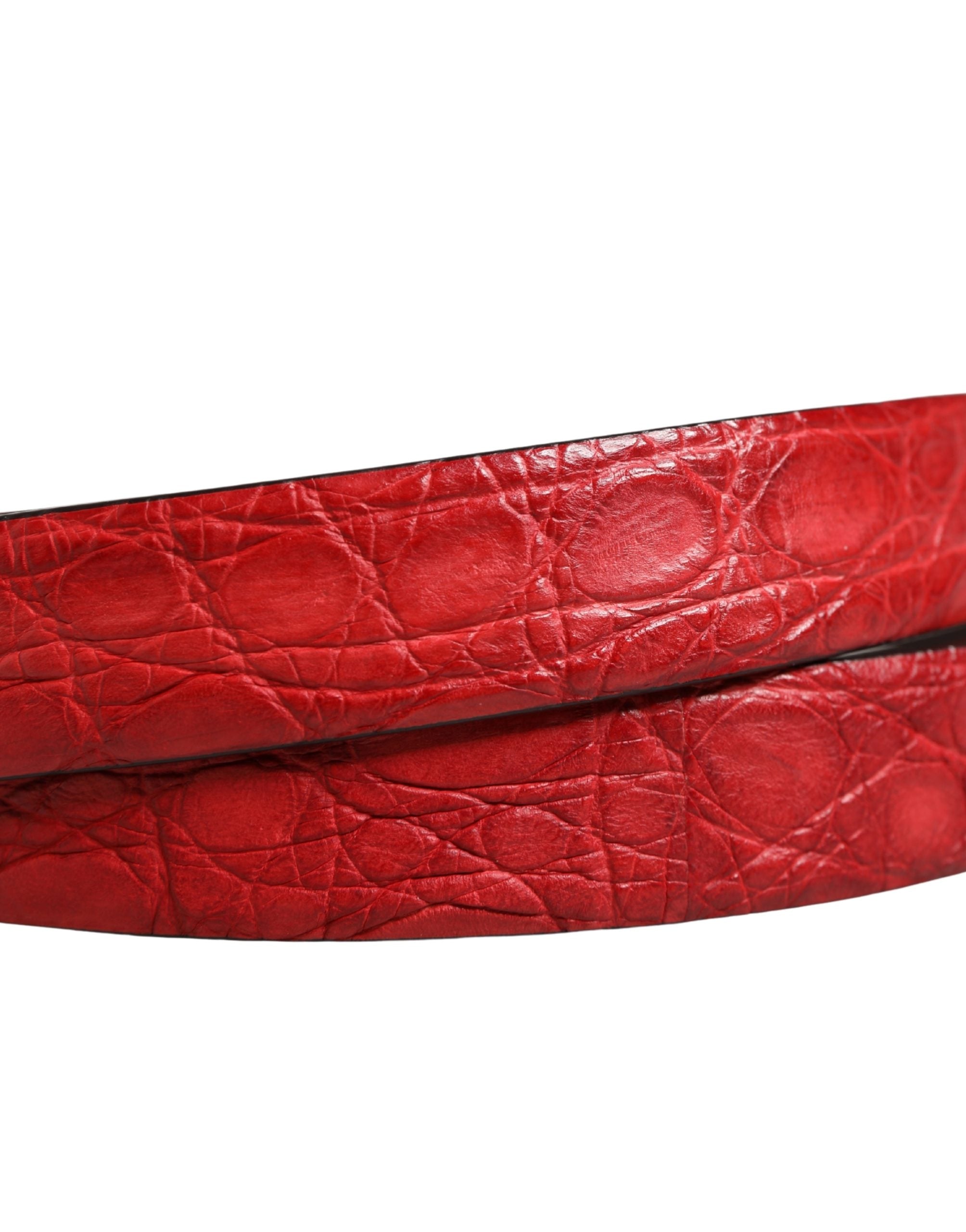 Pre-Owned Dolce & Gabbana Men Red Exotic Leather Metal Buckle Belt