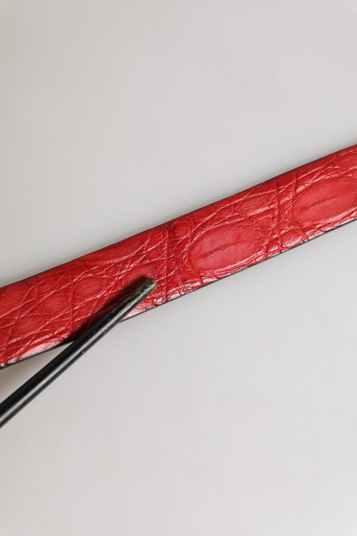 Pre-Owned Dolce & Gabbana Men Red Exotic Leather Metal Buckle Belt - Very Good