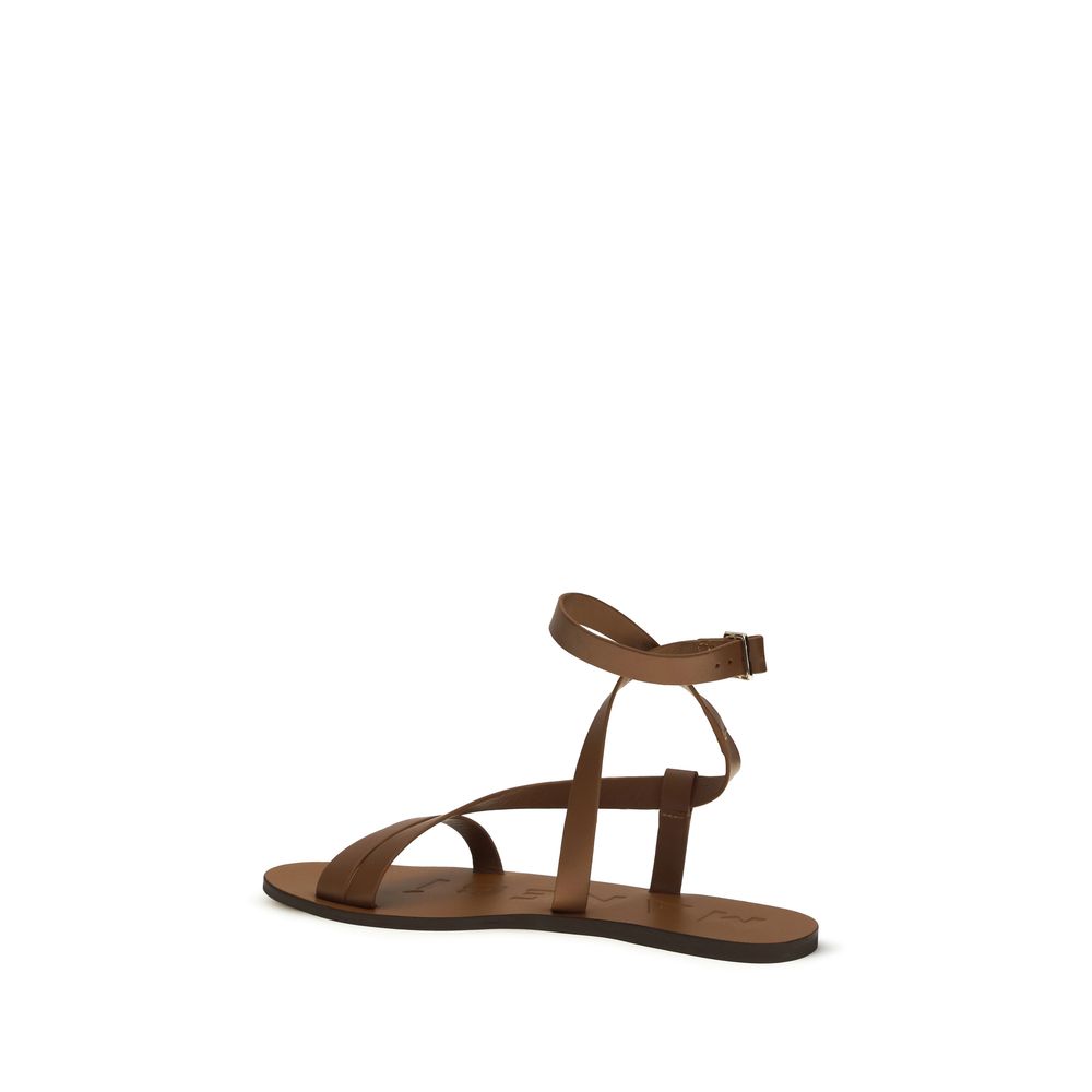 Manebi Brown Leather Flat Sandals