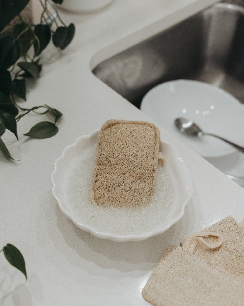 3 Pack Natural Loofah Sponge