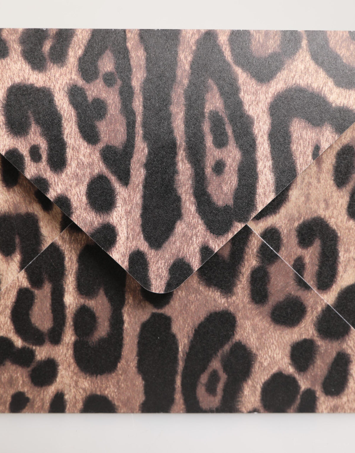 Dolce & Gabbana Multicolor Leopard Print Envelope Paper Post Card Holder