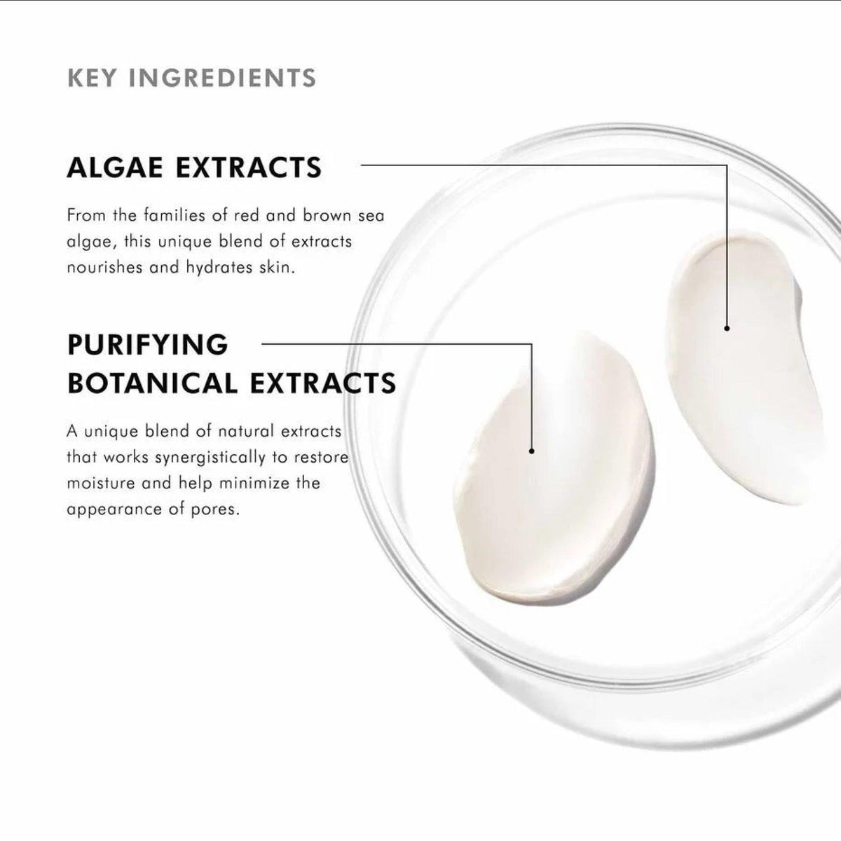SkinCeuticals_Daily_Moisture_ingredients_48a0f933-8d0b-400d-8ed8-d2748d74f144 - PreLoved & Luxe