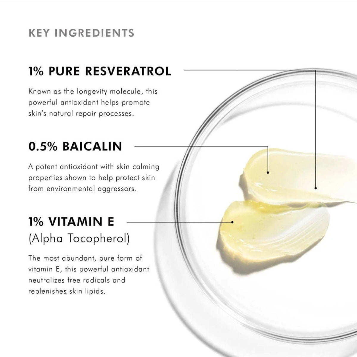 Skinceuticals_Resveratrol_B_E_Ingredients - PreLoved & Luxe