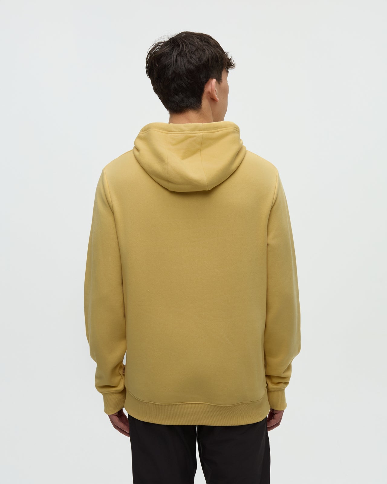 Reynard Hoodie